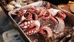 Сахалинские таможенники изъяли более 500 кг деликатесов в тайнике судна в Невельске