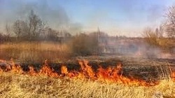 Сухая трава на площади 500 квадратных метров вспыхнула в Южно-Сахалинске 13 апреля