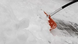 Жители Южно-Сахалинска разочаровались в управляйке и сами взялись за лопаты