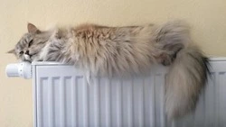 Часть Южно-Сахалинска проведет шесть часов без отопления 2 декабря