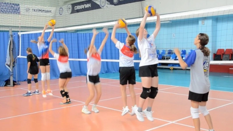 Куда отдать ребёнка? На здоровой волне 09.08.23