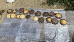 Четверых браконьеров будут судить в Корсакове за вылов гребешка на полмиллиона