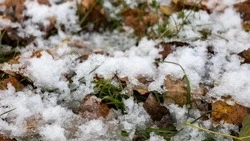 В Южно-Сахалинске 22 октября ночью будет морозно, но без осадков