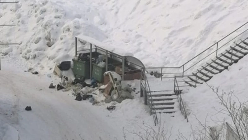 «Собаки все растаскивают»: жители Холмска сообщили о мусорной проблеме