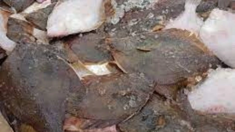 Доступную камбалу и минтай привезут в 3 магазина Южно-Сахалинска 21 и 22 октября