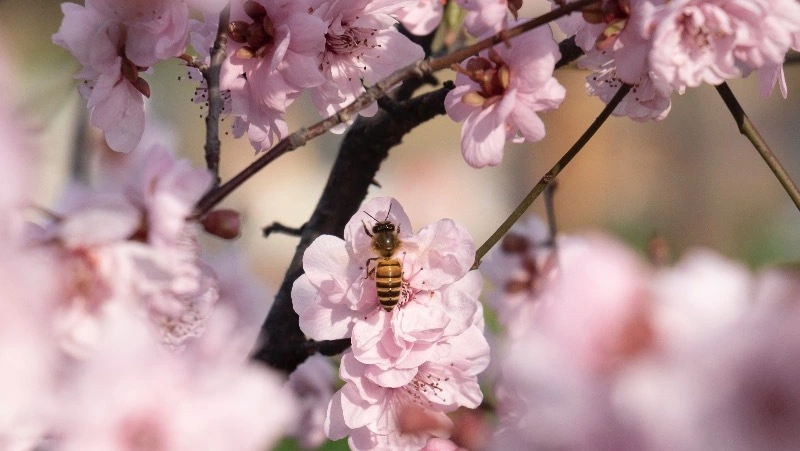 Приметы обо всем на 28 августа 2023 года: что можно и нельзя делать в этот день