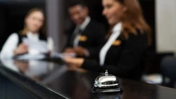 Чаще всего сахалинских подростков приглашали на работу в сферу туризма в 2024 году