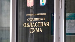 При Сахалинской облдуме создали новый совещательный коллегиальный орган