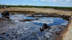 На Сахалине расторгают договор аренды земли под ядовитой нефтяной помойкой