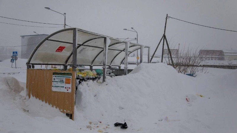 Мусорный коллапс в Южно-Сахалинске: когда из дворов уберут отходы