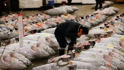 В Японии зафиксировали падение цен на рыбу с начала сброса воды с «Фукусимы-1»