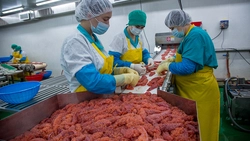 Сахалинский журналист выяснил, с чем связаны колебания цен на икру