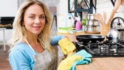 В Госдуму внесли законопроект о ежемесячных выплатах домохозяйкам