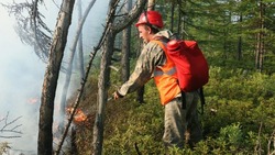 Более 37 гектаров земли пострадали от огня за два месяца в Южно-Сахалинске