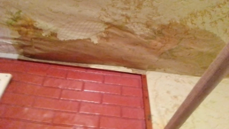 Пенсионерки на юге Сахалина устали жить в затопленном доме и воевать с управляйкой