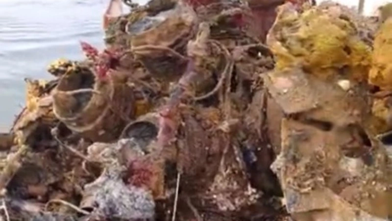 Сахалинцы подняли со дна моря двигатель неизвестного самолета