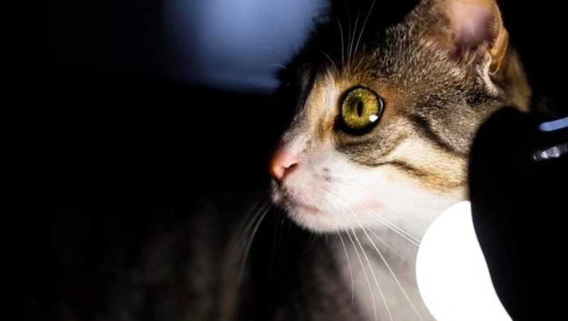 Сотни жителей Южно-Сахалинска проведут 26 ноября без света