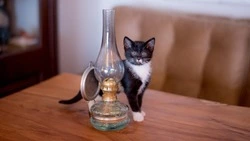 Часть Южно-Сахалинска останется без света 18 марта 