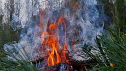 Сразу трем районам Сахалина грозят сильные пожары