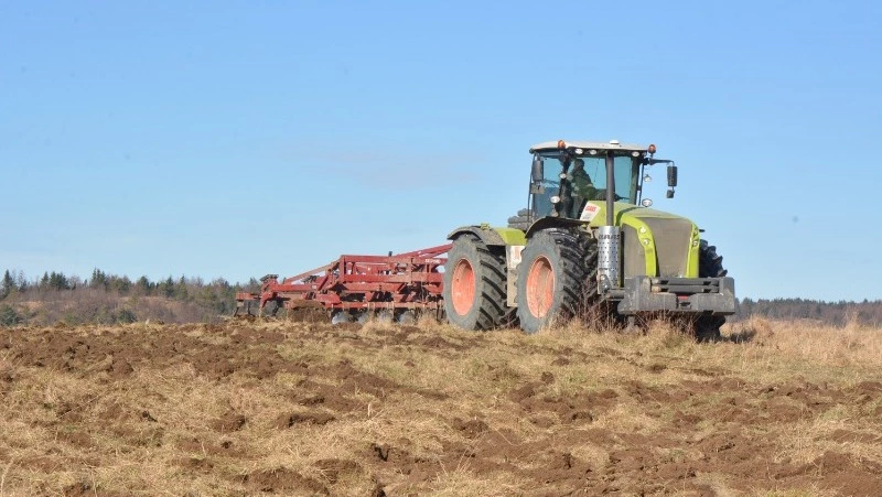 Продовольственное обеспечение Сахалина и Курил: меры поддержки и локальная продукция