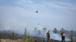 Пожары из-за квадроциклов. Огнеборцы рассказали, почему на Сахалине горят леса