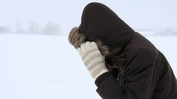 Шесть районов Сахалинской области окажутся под ударом циклона