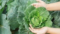 Приметы обо всем на 27 сентября 2023 года: что можно и нельзя делать в этот день