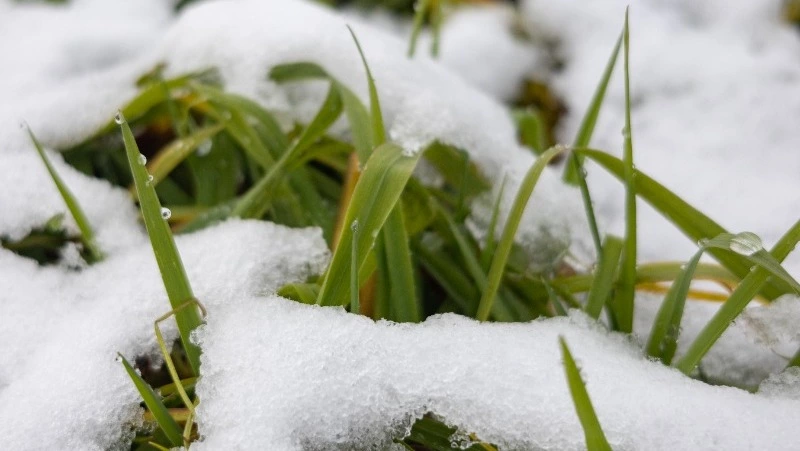 В Южно-Сахалинск придут дневные морозы до - 4 градусов