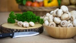 Как сушить и мариновать грибы на зиму: лучшие способы домашних заготовок