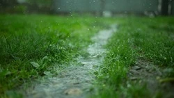 Утренний дождь и до +22 градусов прогнозируют синоптики в Южно-Сахалинске 15 июля