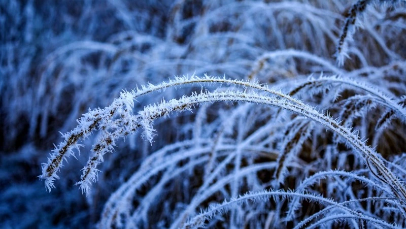 Небольшой снег пройдет в Южно-Сахалинске 27 декабря