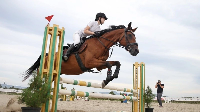 Победителя Кубка ВЭФ по конкуру определили в Южно-Сахалинске 