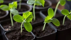 Церковный праздник 16 мая 2025: что нельзя делать в этот день, приметы