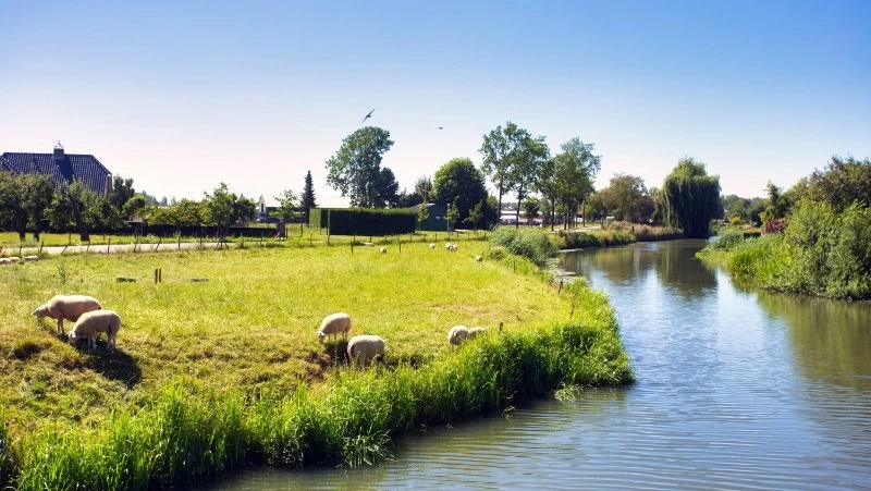 Церковный праздник 23 июля 2025: что нельзя делать в этот день, приметы