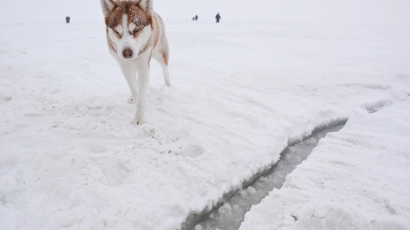 Сахалинские спасатели готовят вертолет для вытаскивания рыбаков со льдин