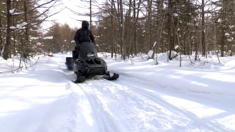 Лесничие из областного центра ищут следы кабарги, которую выпустили после отлова осенью прошлого года - Центр внимания 21.01.26