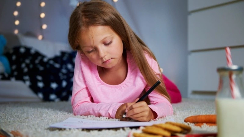 В городском парке Южно-Сахалинска заработает «Почта Деда Мороза»