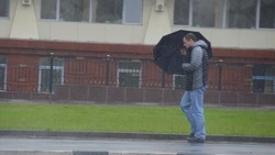 Ураганный ветер и мощный дождь обрушатся на Сахалин 7 сентября