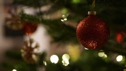 Авария с грузовиком, первые елки и пожар: новости выходных на Сахалине