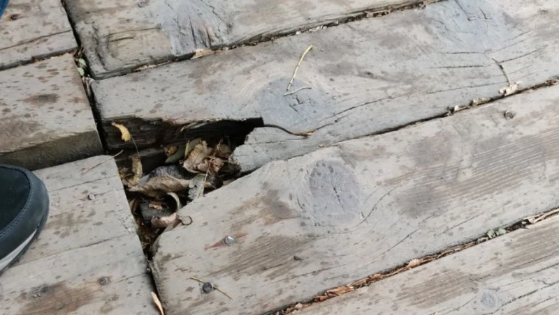 Мост через реку Рогатку в Южно-Сахалинске стал опасным для пешеходов