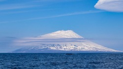 На Курилах запечатлели кита на фоне самого высокого вулкана гряды