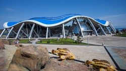  Приморский океанариум высказался о падении трехлетнего сахалинца со 2-го этажа на бетон