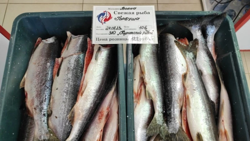 Свежую горбушу по выгодной цене предложили жителям и гостям Итурупа 24 августа