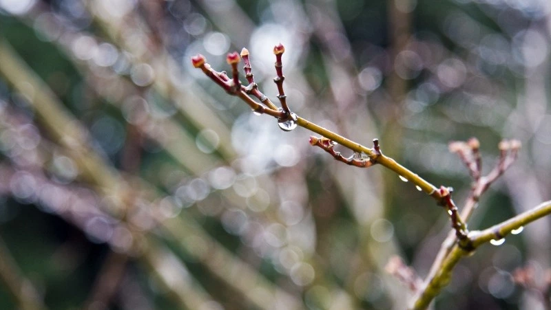 Туман, осадки и штормовой ветер обещают на Сахалине и Курилах 9 апреля