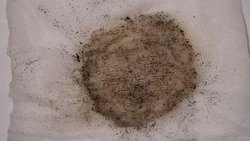 Источник грязной воды с песком в жилом доме Новотроицкого назвали в мэрии Анивы