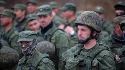 Раздел для ветеранов СВО появился на Госуслугах