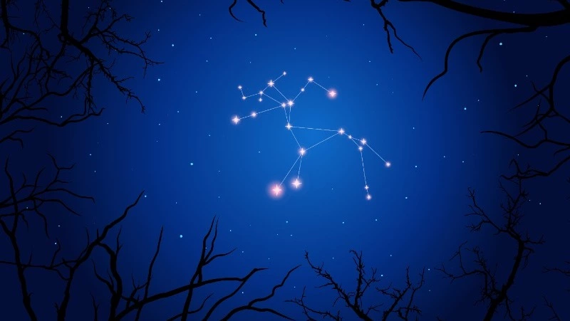 Гороскоп на 15 января: точный прогноз для каждого знака зодиака