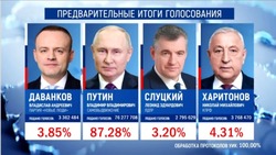 Путин набрал 87,28% голосов на выборах президента РФ по итогам обработки 100% протоколов