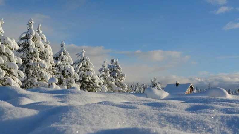 Погода в Южно-Сахалинске 12 января: 0 градусов и снег
