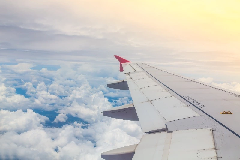 Азия станет ближе к сахалинцам: власти Таиланда обсуждают прямые рейсы во Владивосток